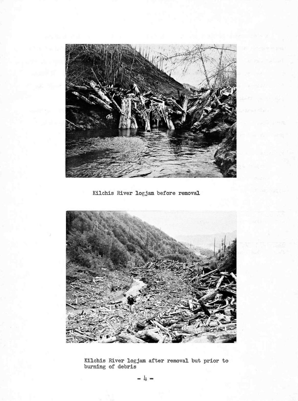 Kilchis River logjam before removal Kilchis River