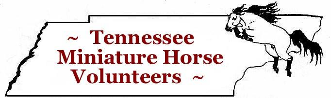 Tennessee Miniature Horse Celebration 2018 ASPC Classic Shetland and AMHR Miniature Horse Show Calsonic Arena, Celebration Grounds Shelbyville, Tennessee Saturday & Sunday April 7 & 8, 2018 Judges