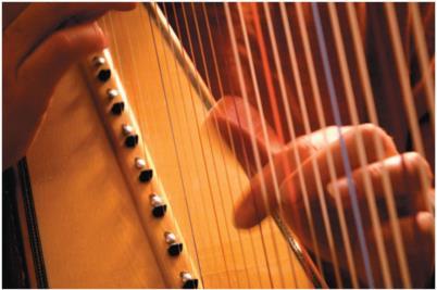 Musical Instruments Instruments such as the harp, the piano, and the violin have strings fixed at the ends and tightened to create tension.
