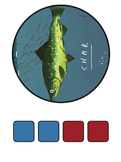 2: If you visit Port with a 2 you may take two Port actions, that is: either fill two Zones on your player board with bait OR select two Master Angler cards to attempt to catch OR you may fill one