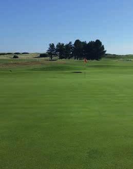 It s all down to Head Greenkeeper Paul Larsen who has been tasked with making the bone-dry Royal St George s Golf Club TV-ready for the 2020 Open Championships.