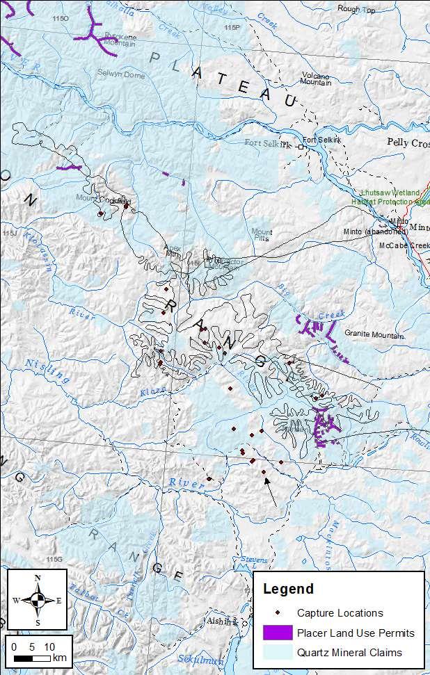 Figure 1. Capture locations during radio-collar deployment activities on the Klaza caribou herd (March and September/October 2012).