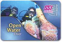 THE SSI or PADI OPEN WATER DIVER COURSE After your first experience, you have several options if you want to do more: Ideally, you should continue on THE OPEN WATER DIVER (OWD) COURSE which only
