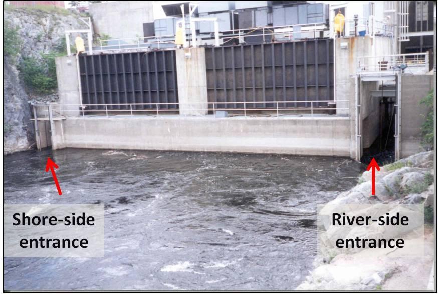 Figure 3. Lowell powerhouse and fish lift entrances looking upstream (modified from image courtesy J. Warner, USFWS). The river side entrance was used during this study. 3.0 Materials and Methods Fish Tagging Adult American shad were collected from the fish lift hopper at Lawrence with dipnets.