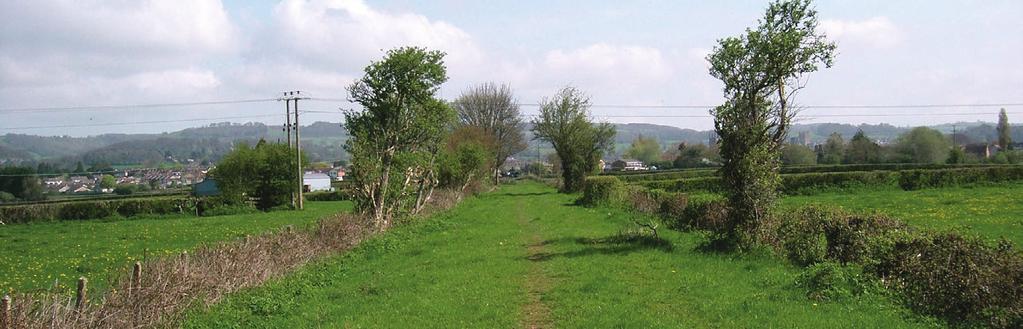 Coxley and Wells Path 44. The path joins the lane and runs along the field boundary within a fenced corridor. 45. A new bridge will be required over the River Sheppey. 46.