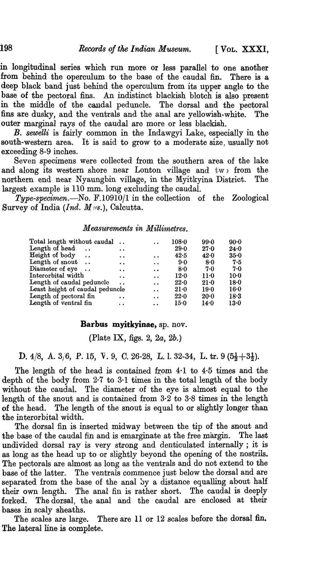 198 Records of tke Indian M useurn. [VOL. XXXI, in longitudinal series which run more or less parallel to one another from behind the operculum to the base of the caudal fin.