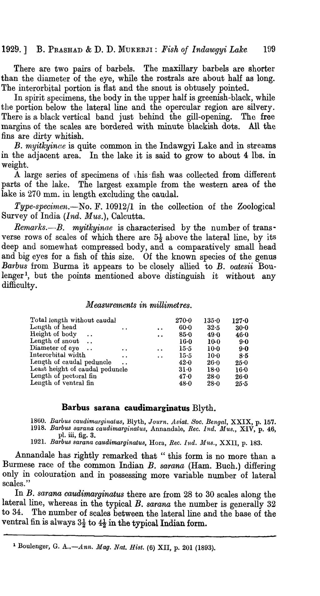 1929.] B. PRASHAD & D. D. MUKERJI: Fish of Indawgyi Lake. 199 There are two pairs of barbels. The maxillary barbels are shorter than the diameter of the eye, while the rostrals are about half as long.