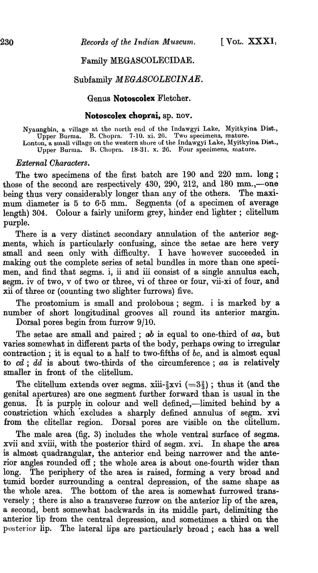 230 Records of the Indian MuseU1n. [VOL. XXXI, Family MEGASCOLEOIDAE. Subfamily MEGASOOLEOINAE. Genus Notoscolex Fletcher. Notoscolex choprai, Spa nov.
