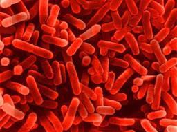 Legionella Guidance Legionnaires disease is a potentially fatal lung infection - pneumonia, that is caused by the legionella bacteria.