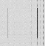 Tell them that the square they drew on the graph paper represents the square they drew in the snow that was 10 centimeters long on each side.