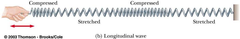 Longitudinal Waves In a longitudinal wave, the elements of the medium undergo displacements parallel to the motion of the wave A longitudinal wave is also called a compression wave Graph of