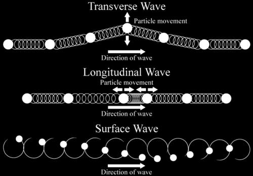 In a surface wave, particles of the medium vibrate both up and down and back and forth, so they end up moving in a circle.