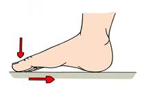 Toe Point and Flex (Seated or Standing) Lift one foot 1 to 2 off the floor. Point the toes and flex the ankle.