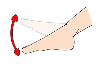 Ankle Rotations (Seated or Standing) Lift one foot 1 to 2 off the floor. Make circles with the toes in one directions.