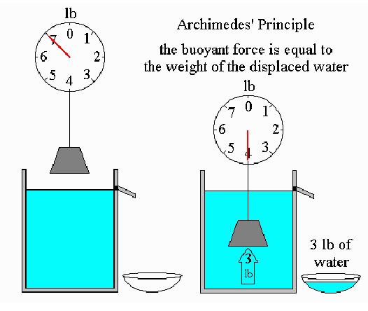 Buoyancy Neutral buoyancy: the condition in which the forces acting on an object that is submerged in or floating on a fluid are balanced