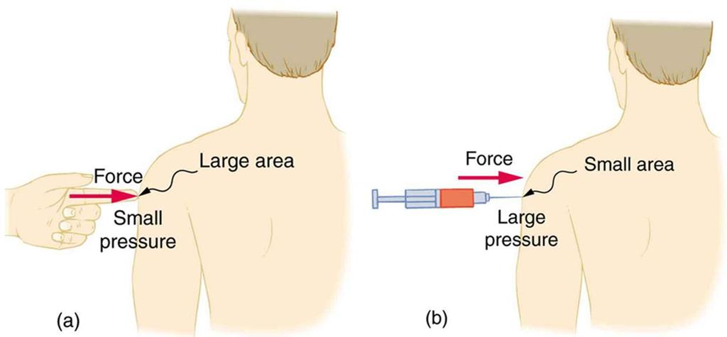 Force and Area affect pressure (a) While the person being poked with the finger might be irritated, the force has little lasting