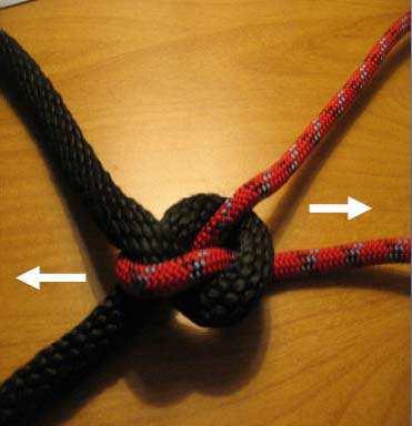 Pull on the free ends to 4ghten the knot.