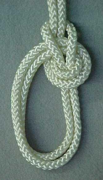 Bowline on a Bight continued: 4 5 After