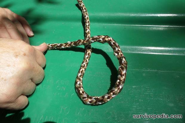 Bowline Loop knot for a ropes end. Step 1.