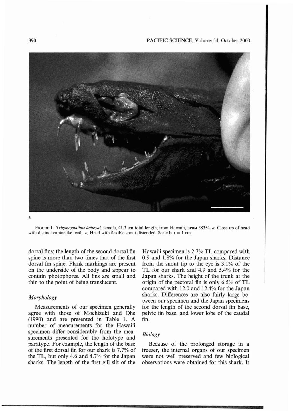 390 PACIFIC SCIENCE, Volume 54, October 2000 a FIGURE 1. Trigonognathus kabeyai, female, 41.3 em total length, from Hawai'i, BPBM 38354. a, Close-up of head with distinct caninelike teeth.