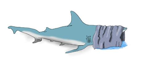 can calm a shark down by covering its eyes with smooth, wet and dark cloth To