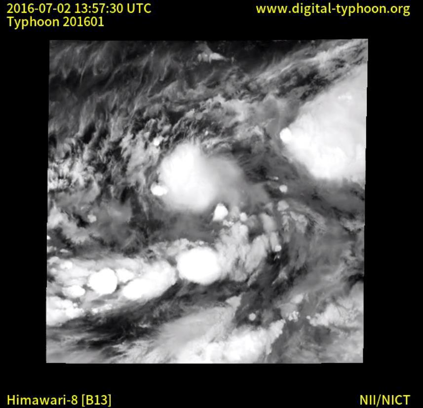 2/41 Typhoon Nepatrak Courtesy: www.digital-typhoon.