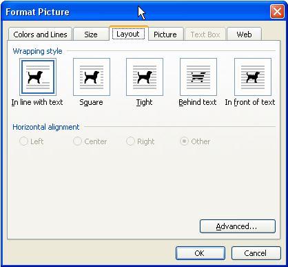 Vào menu Format / Object hoặc Click đúp lên hình chọn Format Object (Object có thể là Text box, Picture, Object, Autoshape hoặc WordArt), xuất hiện hộp thoại.