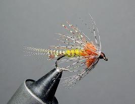 October Fly of the Month Shakey Bealy Instructions by Bill Woody Woodward Photograph by Bob Cain Hook... Nymph/Hopper, size12 Thread... Rusty Brown, 6/0-8/0 Tail.
