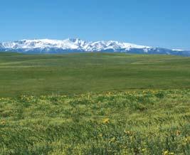 homesites with great Teton views Power and phone $1,200,000 Bootjack Ranch on the Fall River - ID Fremont County - Ashton 154 acres