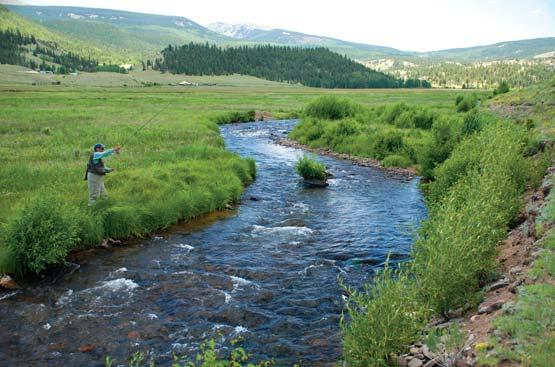 Live Water News Expansion in Montana, Oregon and Dubois, Wyoming Jefferson River - Montana Upper Williamson River - Oregon Over the past six months, Live Water Properties has been busy adding to the