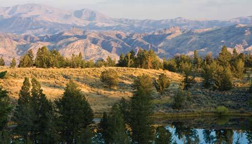 The views of the South Fork of the Shoshone River Valley and Absaroka Mountains are stunning, and the proximity to Yellowstone National Park is unbeatable.