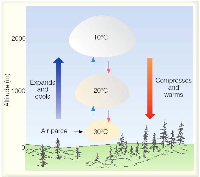 Rising air expands and cools; Sinking air compresses and warms. (18) (24) Dry adiabatic lapse rate (10 o C/km): the rate of temperature decrease with height with no heat gain or loss.