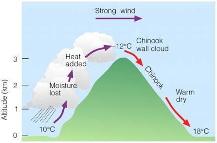 Chinook (Foehn) Winds with prevailing wind Main source of heating is compression during downslope flow Key is
