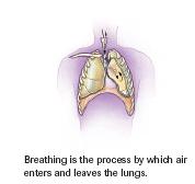 Breathingprocess of exchange of air