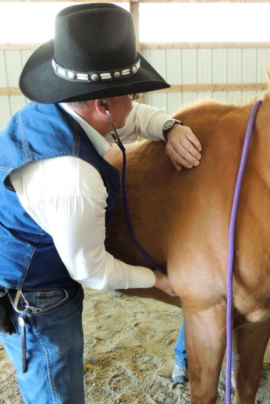 From equine first-aid to equine therapeutic massage, participants were treated to the knowledge of several of the top equine professionals in their fields. The presenters! Dr.