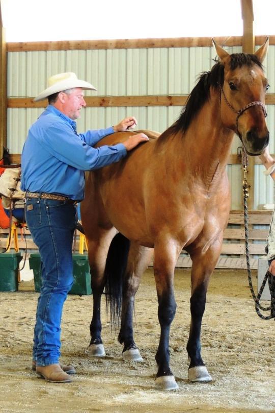 Mike Watkins Certified Equine Massage Therapist of Equi-Touch Horse Massage. It was Squaw Buttes privilege to invite Mike to present at this year s clinic.