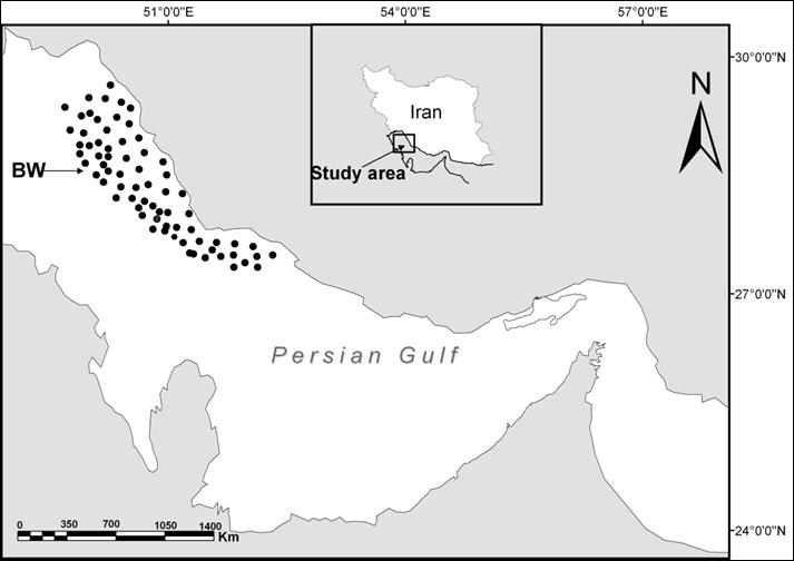 742 Afr. J. Agric. Res. Figure 1. Map of the study area in Persian Gulf, Black dots indicate locations of sampling. BW= Bushehr waters.