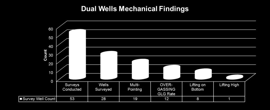 Findings from Dual Wells Surveyed 53 Dual Surveys Conducted, 28