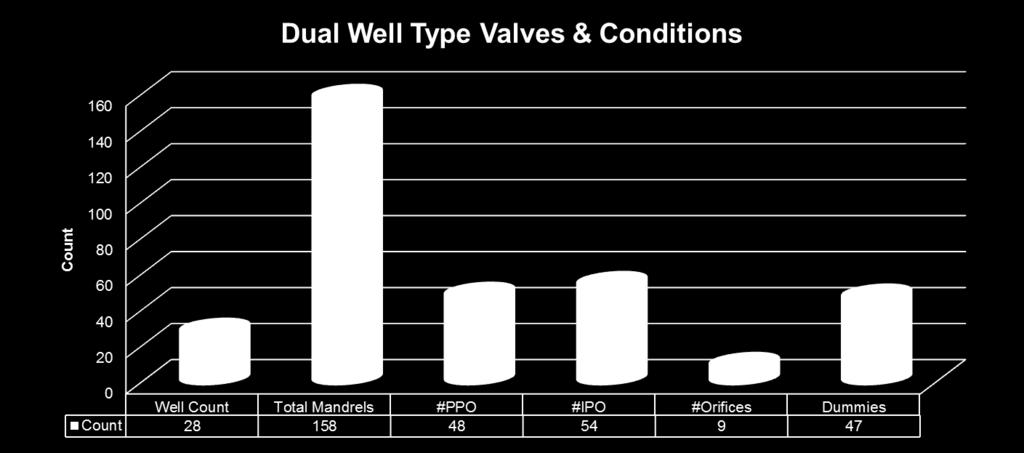 Findings from Dual Wells Surveyed 28 Dual Wells Surveyed
