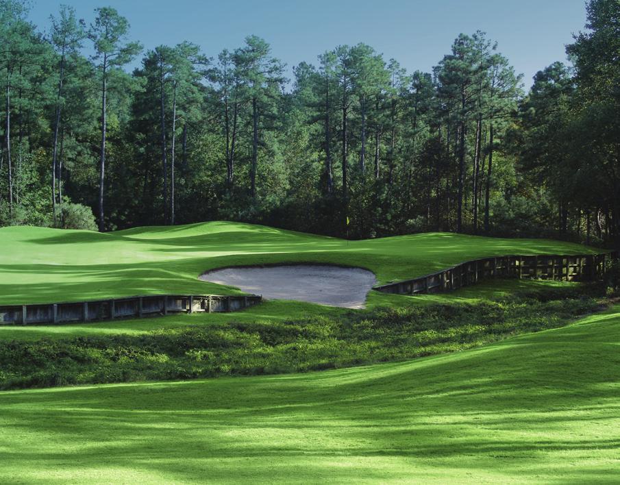Ben Crenshaw and Bill Coore have created a stunning masterpiece of American golf, taking advantage of Dormie s spectacular wooded site that features dramatic 80 foot elevation changes, natural lakes,