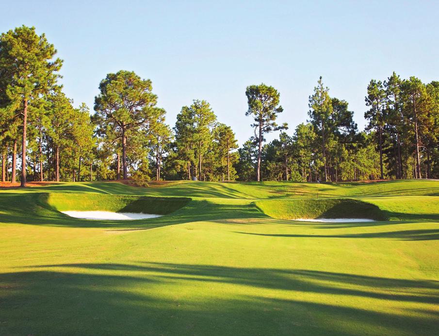 design was recently renovated in 2015 by renowned architect David Whelchel who tweaked all aspects of the layout including new Bermuda greens earning the Lake Course a nomination for Golf Digests