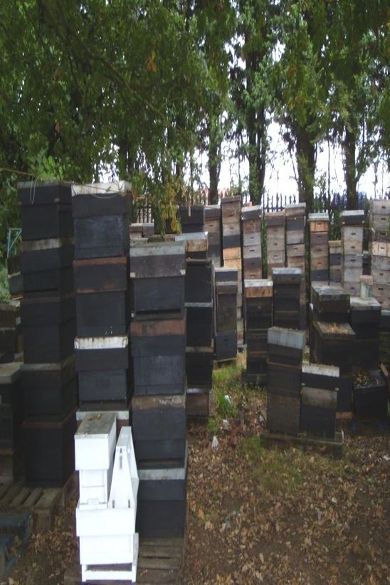 Re-using the frames and hives boxes The beekeeper is able to re-use frames.