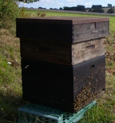 If the space is too large, the bees will build another comb in the middle.