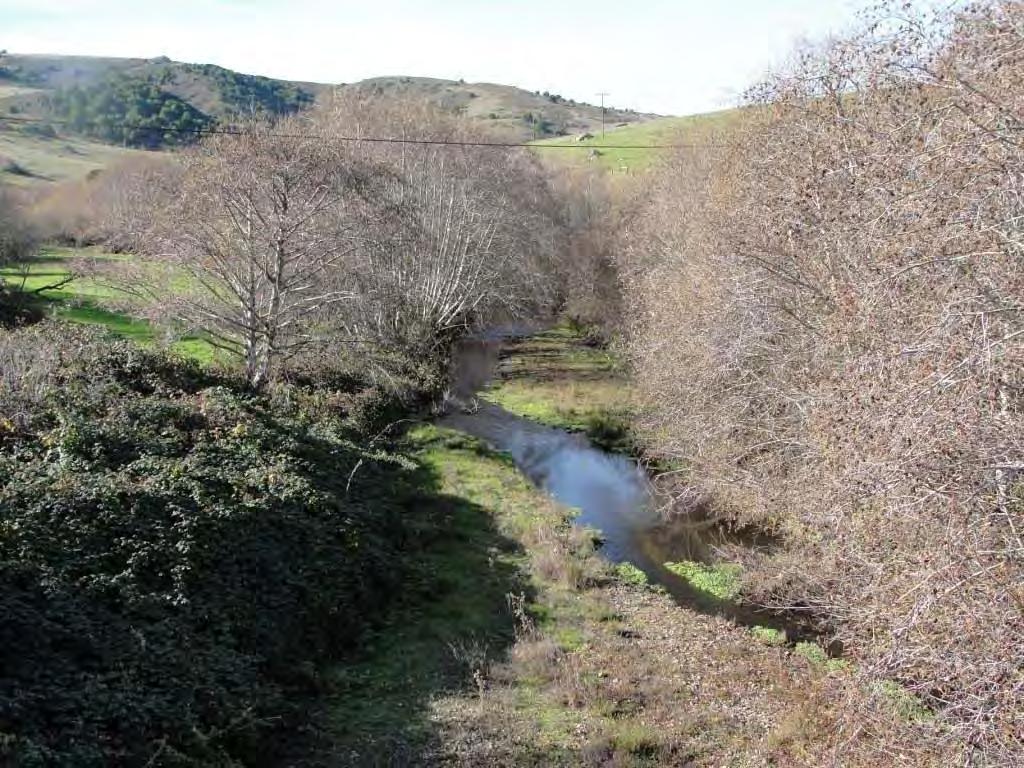 Water temperature monitoring was conducted at eight monitoring sites between Soulajule Reservoir and the mouth of Walker Creek, including sites in Salmon Creek and Chileno Creek, and a site in the