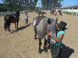 It leads to safe bridle-less riding and a horse so light and focused on reading horseman s