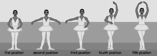 Design and decorate a costume for this ballerina. Basic Ballet Positions First Position: The balls of the feet are turned out completely.