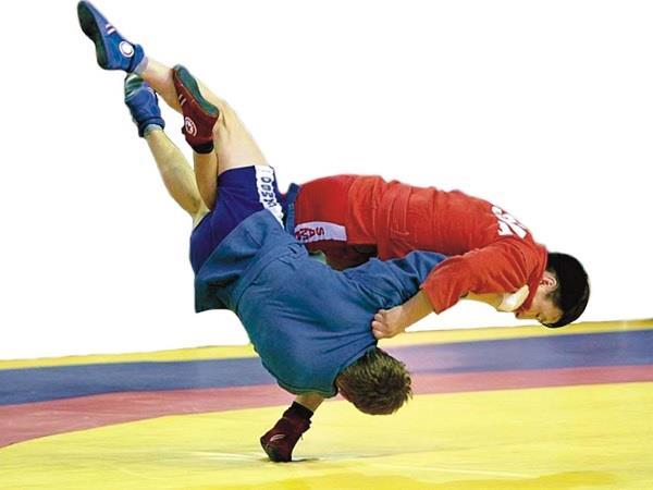 Prohibited Holds Certain holds and actions are completely prohibited in case of sambo and the player who uses it can be disqualified.
