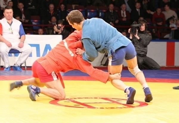 Freestyle Sambo Freestyle sambo was created and added to the sport by American Sambo Association in 2004.