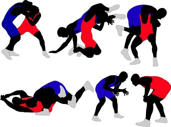 The objective of each wrestler is to pin the opponent and establish own superiority without violence.