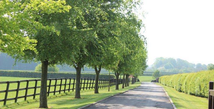 RAFFIN STUD WEST SOLEY, HUNGERFORD, BERKSHIRE London 65 miles, Lambourn 4 miles, Hungerford 4 miles, Newbury 13 miles, M4 5 miles THE EPITOME OF A PRIVATE STUD FARM A superb private stud farm in